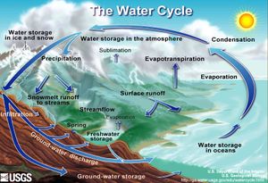 Precipitation Water cycle.jpeg